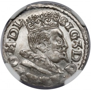 Zygmunt III Waza, Trojak Lublin 1596 - Koste