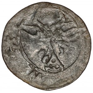 Śląsk, Ks. Oleśnickie, Halerz Wołów (1432-1439)