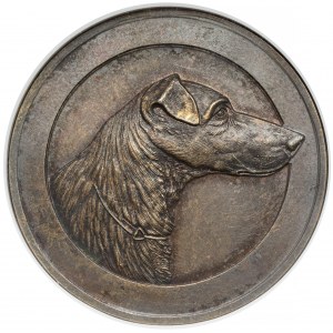 Rosja, Aleksander III, Medal nagrodowy bez daty (1886) - Rosyjskie Towarzystwo Miłośników Fox-Terierów i Jamników