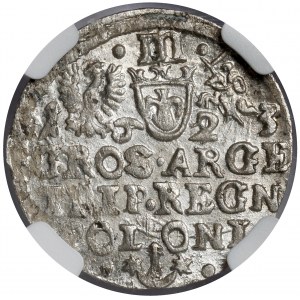 Zygmunt III Waza, Trojak Kraków 1623
