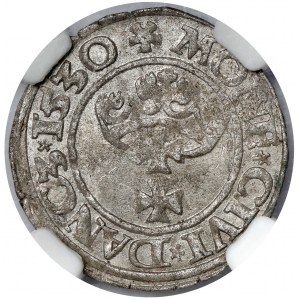 Zygmunt I Stary, Szeląg Gdańsk 1530 - piękny