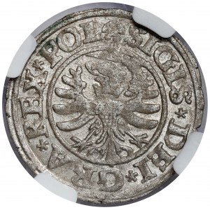 Zygmunt I Stary, Szeląg Gdańsk 1530 - piękny