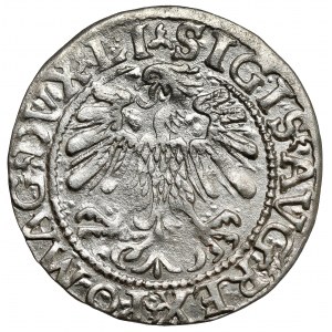 Zygmunt II August, Półgrosz Wilno 1559 - POMAG