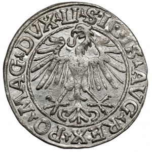 Zygmunt II August, Półgrosz Wilno 1548