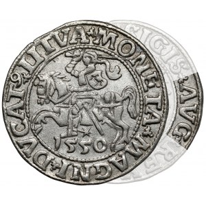 Zygmunt II August, Półgrosz Wilno 1550 - A bez belki - b.rzadki