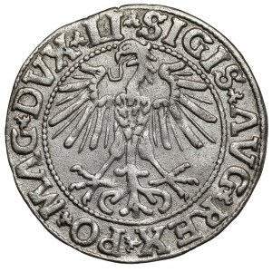 Zygmunt II August, Półgrosz Wilno 1550 - A bez belki - b.rzadki