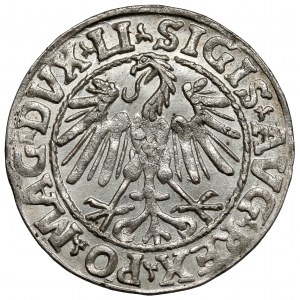 Zygmunt II August, Półgrosz Wilno 1546