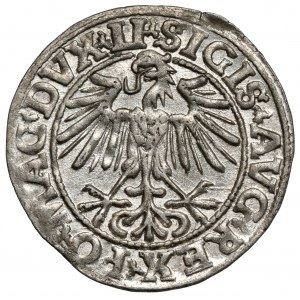 Zygmunt II August, Półgrosz Wilno 1549