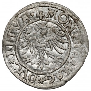 Zygmunt II August, Półgrosz Wilno 1545 - SIGIS przy Pogoni