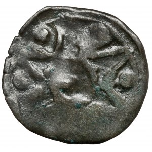 Pomorze Zachodnie, Stargard, Denar XV w. - Gryf W PRAWO
