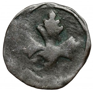 Pomorze, Gardziec, Denar XV w.