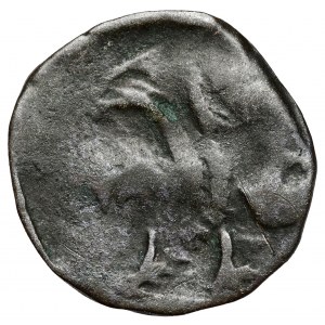Pomorze, Gardziec, Denar XV w.