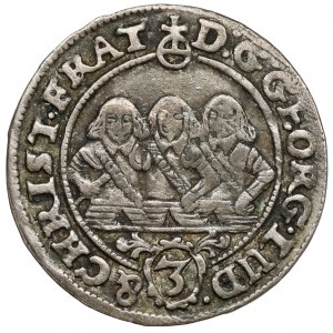 Śląsk, Trzej Bracia, 3 krajcary 1658, Brzeg