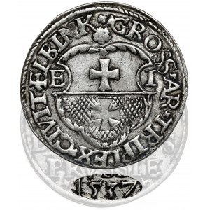 Zygmunt I Stary, Trojak Elbląg 1537 - rzadki rok