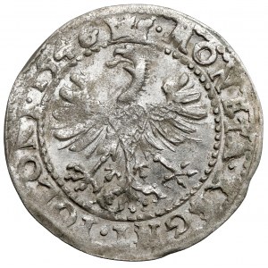 Zygmunt I Stary, Grosz Kraków 1546 ST - REX•