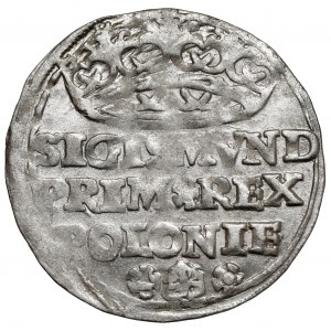 Zygmunt I Stary, Grosz Kraków 1528