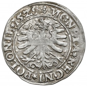 Zygmunt I Stary, Grosz Kraków 1529