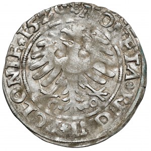 Zygmunt I Stary, Grosz Kraków 1529
