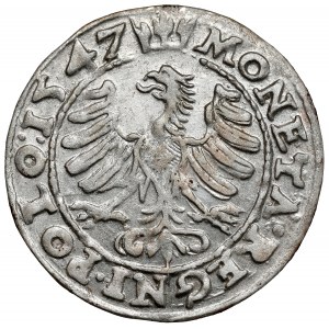 Zygmunt I Stary, Grosz Kraków 1547 ST