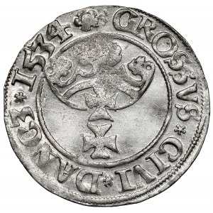 Zygmunt I Stary, Grosz Gdańsk 1534