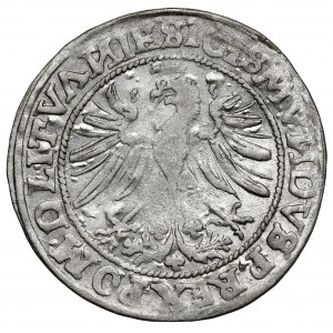 Zygmunt I Stary, Grosz Wilno 1535 - wczesny