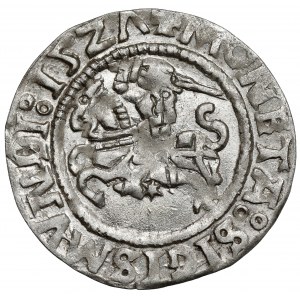 Zygmunt I Stary, Półgrosz Wilno 1527 - różna A