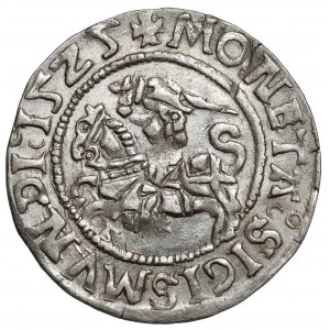 Zygmunt I Stary, Półgrosz Wilno 1525