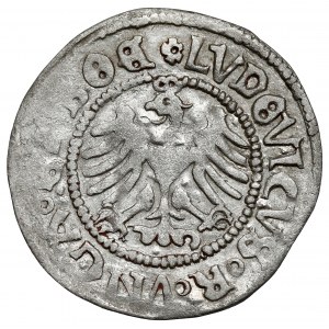 Śląsk, Świdnica, Ludwik Jagiellończyk, Półgrosz 1518