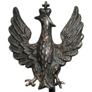 Polska, Wpinka patriotyczna z orłem - w srebrze (?)