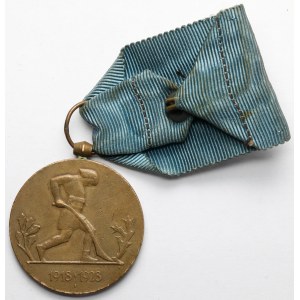 II RP, Medal Dziesięciolecia Odzyskanej Niepodległości 1918-1928