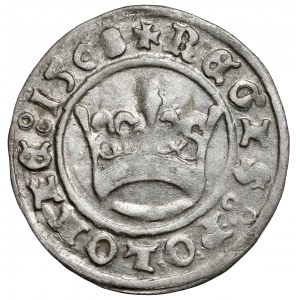 Zygmunt I Stary, Półgrosz Kraków 1508