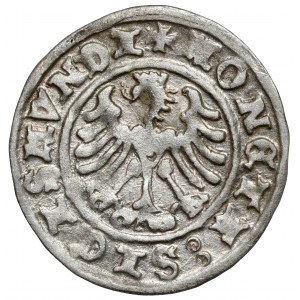 Zygmunt I Stary, Półgrosz Kraków 1508