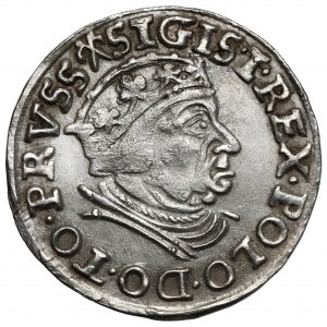 Zygmunt I Stary, Trojak Gdańsk 1539