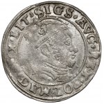 Zygmunt II August, Grosz na stopę litewską 1546, Wilno - błąd SIGS