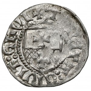 Kazimierz IV Jagiellończyk, Szeląg Elbląg