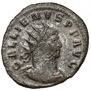 Gallien (258-268 n.e.) Antoninian, Antiochia