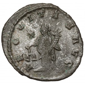 Gallien (258-268 n.e.) Antoninian, Antiochia