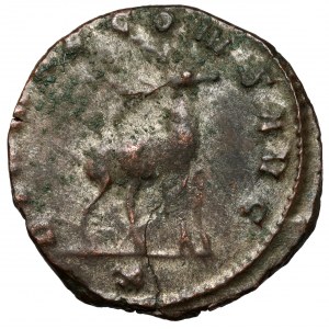 Gallien (258-268 n.e.) Antoninian, Rzym - antylopa
