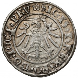 Zygmunt I Stary, Grosz Elbląg 1534