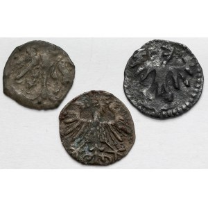 Od Władysława II Jagiełły do Zygmunta II Augusta, Denary - zestaw (3szt)