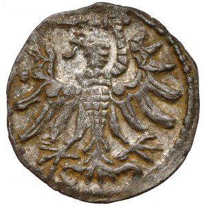 Zygmunt II August, Denar Gdańsk 1554