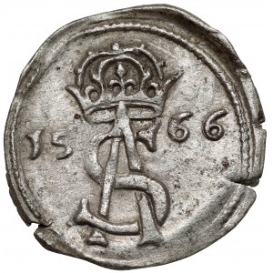 Zygmunt II August, Dwudenar Wilno 1566
