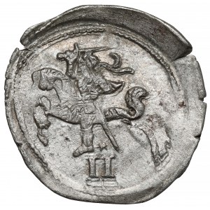 Zygmunt II August, Dwudenar Wilno 1566