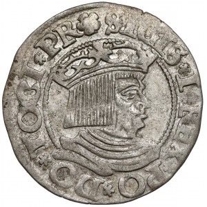 Zygmunt I Stary, Grosz Gdańsk 1534