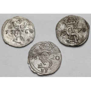 Zygmunt II August i Zygmunt III Waza, Dwudenar 1566-1620 - zestaw (3szt)
