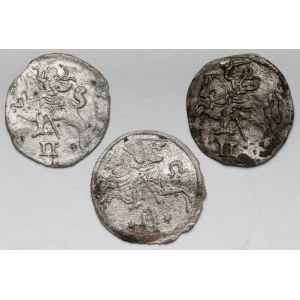 Zygmunt II August i Zygmunt III Waza, Dwudenar 1566-1620 - zestaw (3szt)