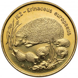 2 złote 1996 Jeż