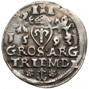 Zygmunt III Waza, Trojak Wilno 1593 - Platina