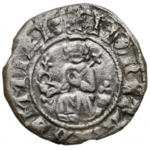Kazimierz III Wielki, Półgrosz (kwartnik) Kraków - RZADKI typ