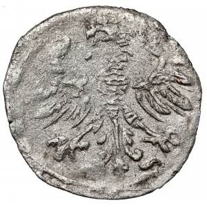 Zygmunt II August, Denar Wilno 1546 - bardzo rzadki